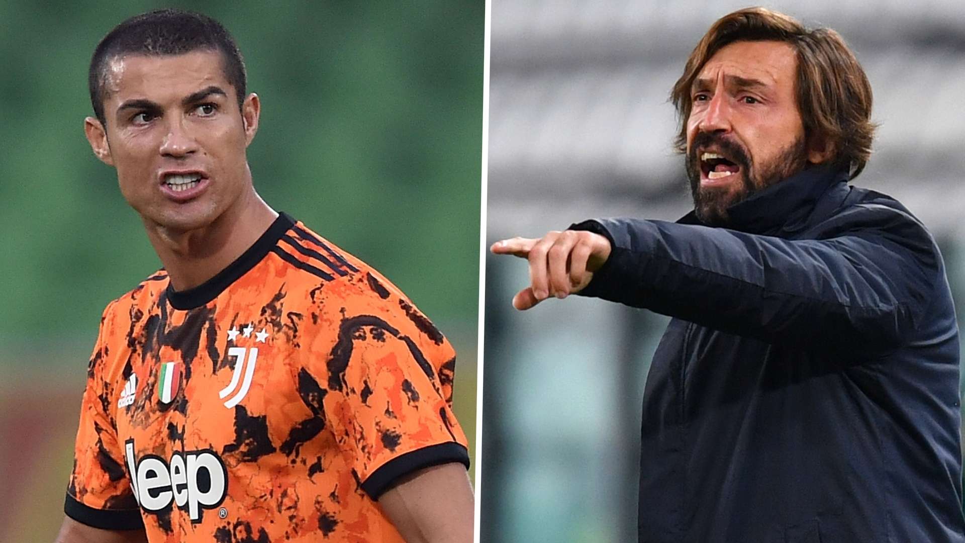 杯增添了新 杯增添了新